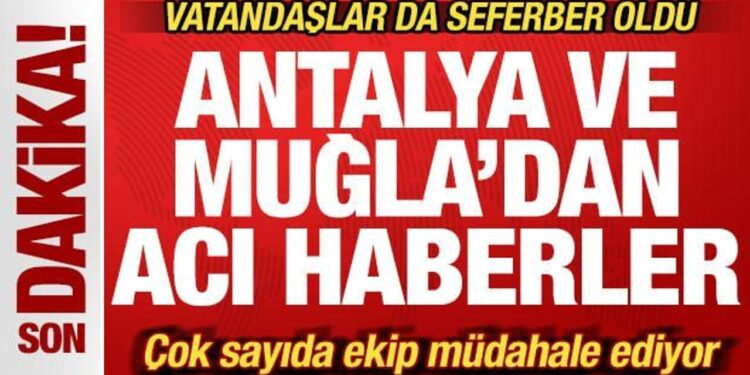 Son dakika: Antalya ve Muğla’dan peş peşe yürek yakan haberler!