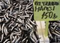 Trabzon’da hamsi ve istavrit 150 liradan satışa sunuluyor