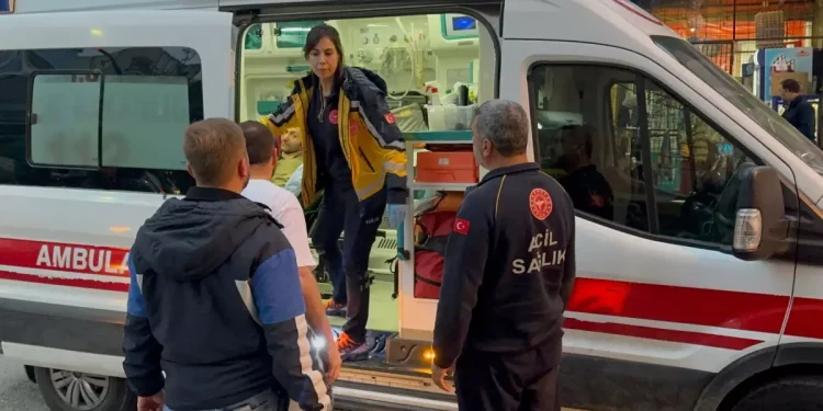 Dayı ve yeğen birbirini bıçakladı