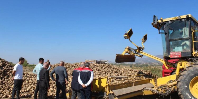 450 bin tonluk hasat bekleniyor! Pancar üretiminde son durum