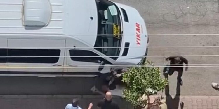 Adana’da sokak ortasında bıçaklama anı: Ortalık kan gölüne döndü