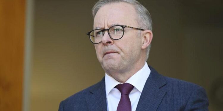 Albanese’den Filistin Devleti vurgusu! Tanıma kararını yineledi