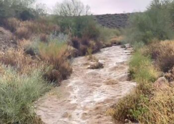 Arizona’da sel 4 can aldı!