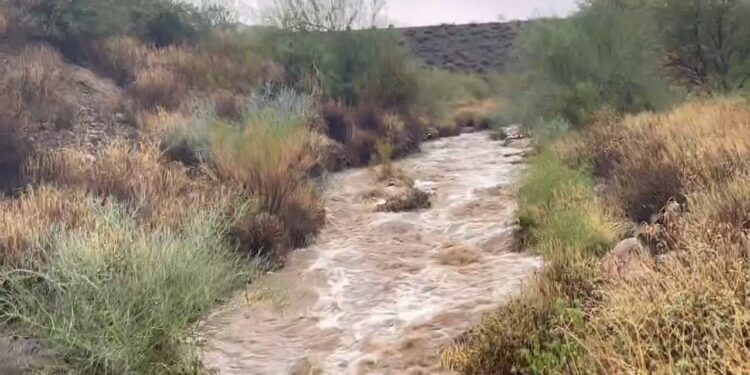 Arizona’da sel 4 can aldı!