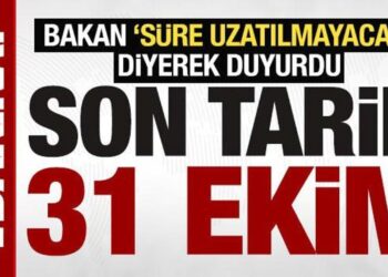 Bakan, ‘süre uzatılmayacak’ diyerek uyardı: ‘Eski tip ehliyetler için son tarih 31 Ekim’