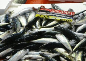 Balıkçılar müjdeyi verdi! Fiyatlarda düşüş…