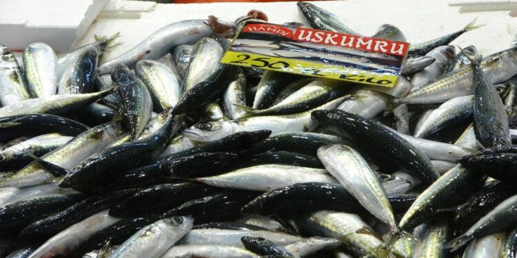 Balıkçılar müjdeyi verdi! Fiyatlarda düşüş…