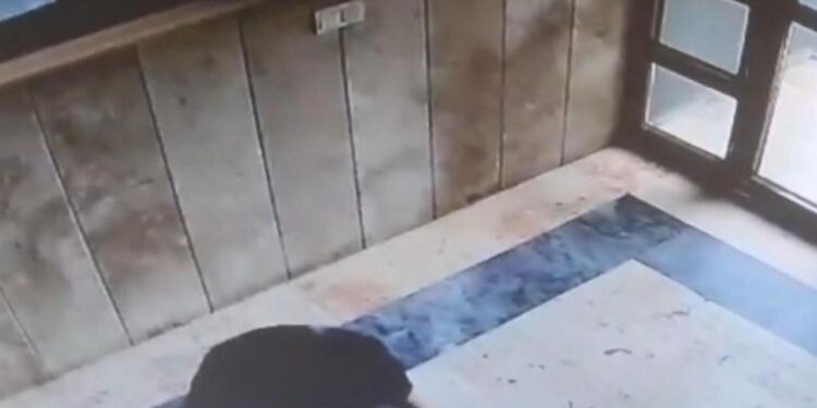 Başakşehir’de kediye işkence yapan sanığa 3 yıl 8 ay hapis cezası