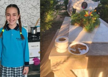 Başıboş köpek saldırısında ölmüştü: Mezarına alçak saldırı! Mama bıraktılar