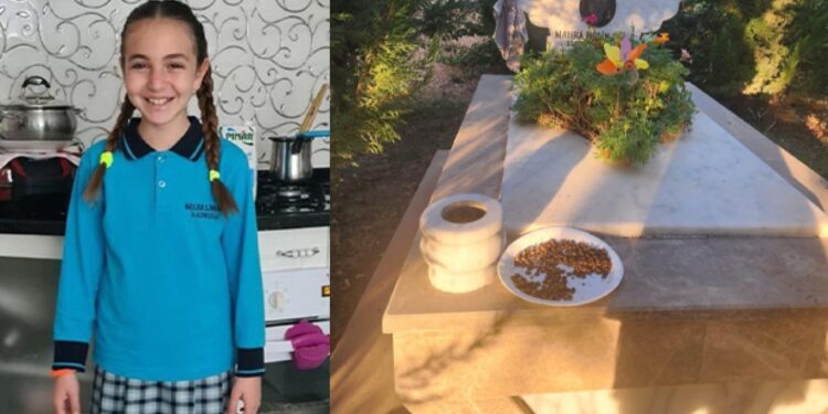 Başıboş köpek saldırısında ölmüştü: Mezarına alçak saldırı! Mama bıraktılar