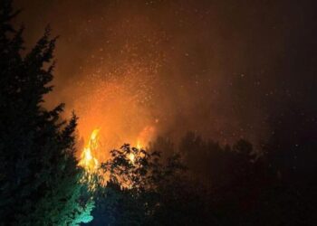 Beykoz’da orman yangını: Ekipler bölgede!
