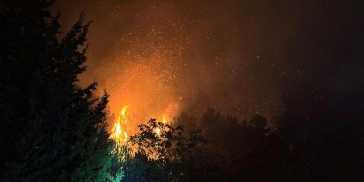 Beykoz’da orman yangını: Ekipler bölgede!