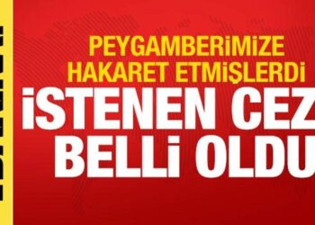 Boğaç Soydemir ile Enes Akgündüz için istenen hapis cezası belli oldu