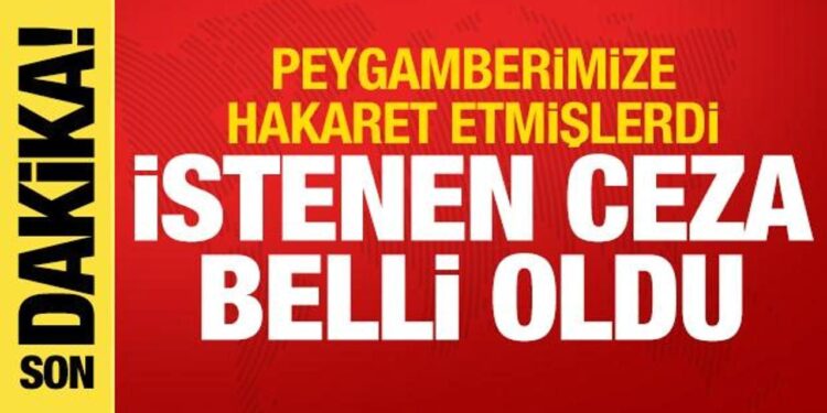 Boğaç Soydemir ile Enes Akgündüz için istenen hapis cezası belli oldu