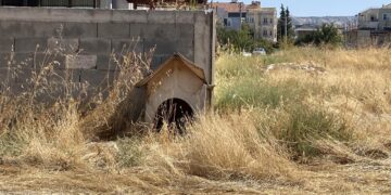 Burdur’da 3 sokak köpeğinin saldırısına uğrayan kadın yaralandı