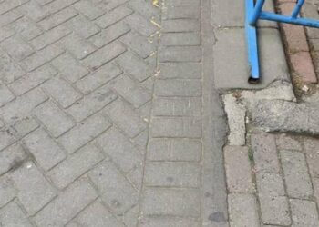 Gaziosmanpaşa’da pitbullun saldırdığı köpek öldü