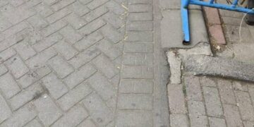 Gaziosmanpaşa’da pitbullun saldırdığı köpek öldü