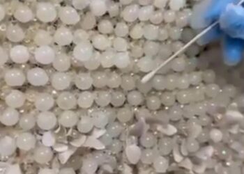 Gelinliğin üzerine boncuk şeklinde işlenmiş 25 kilo uyuşturucu ele geçirildi