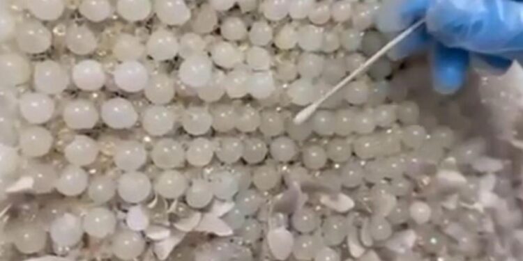 Gelinliğin üzerine boncuk şeklinde işlenmiş 25 kilo uyuşturucu ele geçirildi