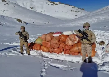 Hakkari ve Ağrı’da uyuşturucu operasyonu: 1 gözaltı