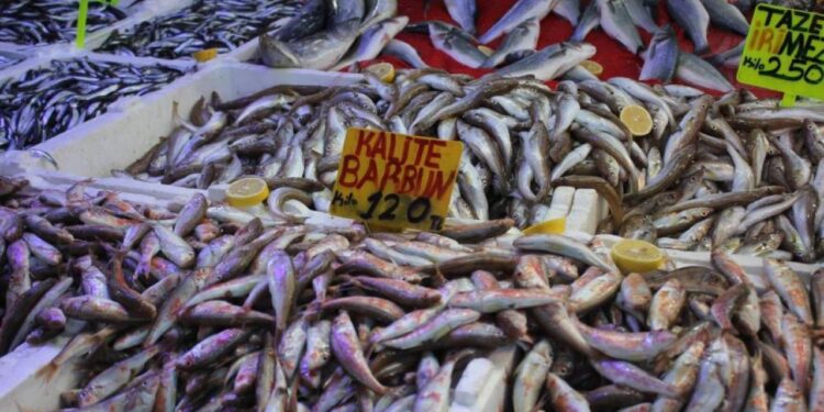 Hamsi bolluğu fiyatları düşürdü