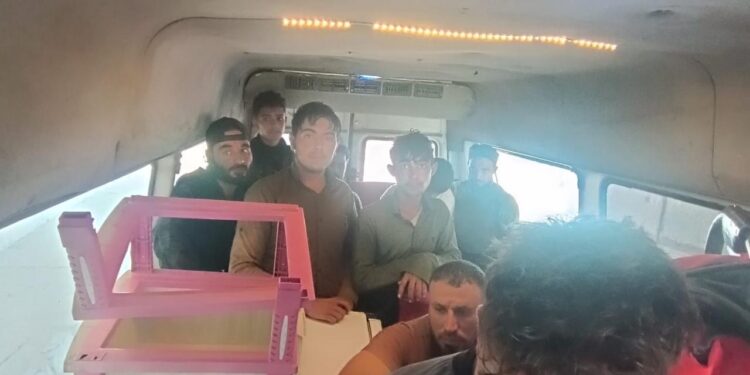 Hatay’da 12 kaçak göçmen yakalandı