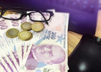 Karar verildi, yeni paralar tedavüle girdi