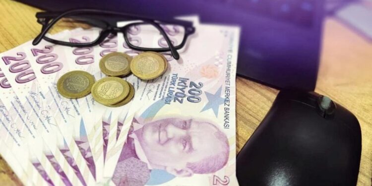 Karar verildi, yeni paralar tedavüle girdi