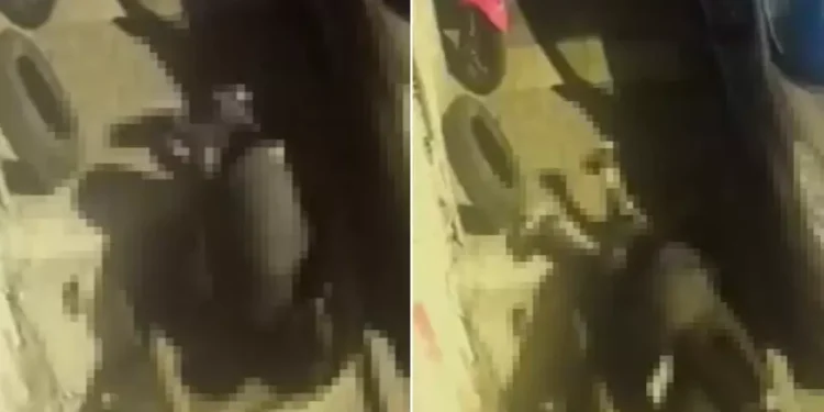 Küfürleşme cinayeti kamerada: Sırtından bıçakladı