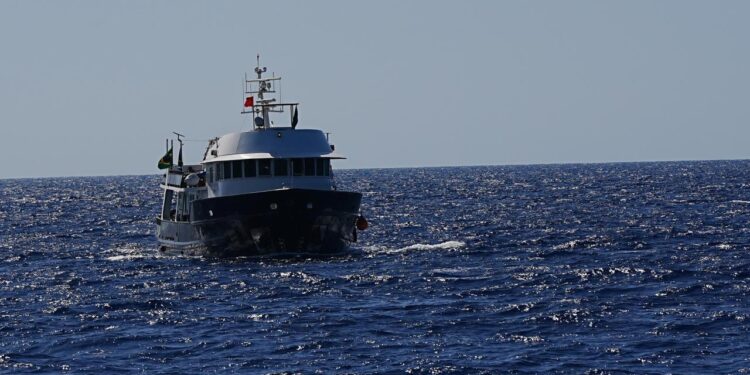 Küresel Sumud Filosu Türkiye delegasyonu: Dünya liderleri soykırımı bitirebilir