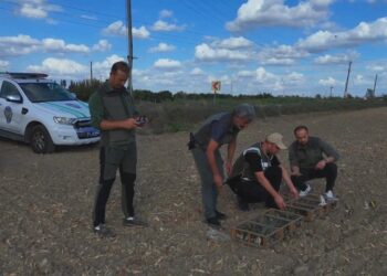 Kuş kaçakçısına suçüstü! 247 saka kuşu özgürlüğüne kavuştu