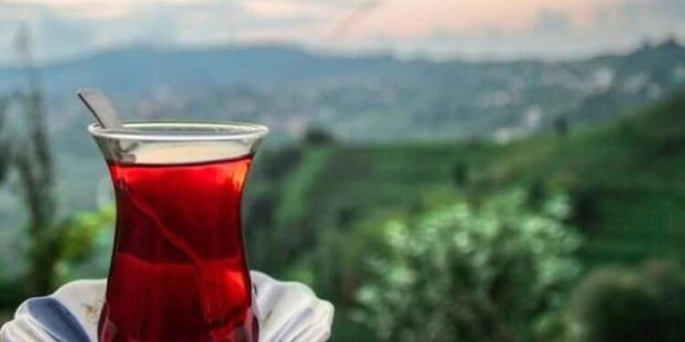 Lipton yaş çay işleme tesislerini Özgür Çay’a devrediyor!