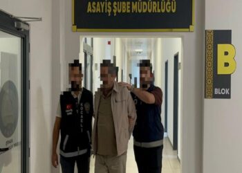 Miras kavgasında kardeşini öldürdü: Şaşırtan savunma