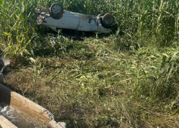 Otomobil mısır tarlasına devrildi: 1 ölü, 1 yaralı!