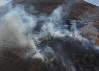Patlıcan közlerken ormanı yakan şahıs yakalandı