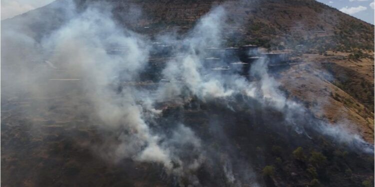Patlıcan közlerken ormanı yakan şahıs yakalandı