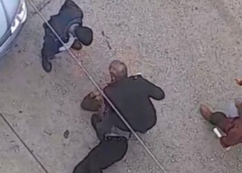 Petshopta taciz! Sokak ortasında meydan dayağı