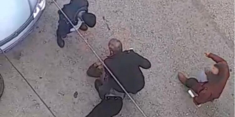 Petshopta taciz! Sokak ortasında meydan dayağı