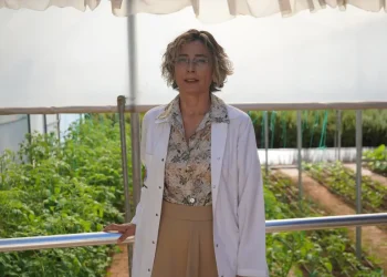 Psikiyatri Hastalarına Tarım ve Sanatla Terapi Projesi