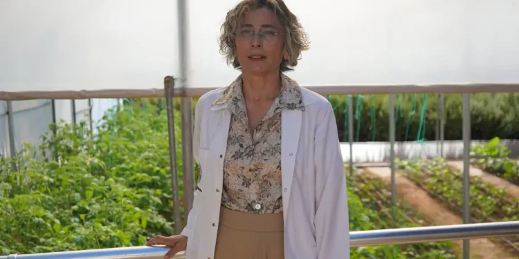 Psikiyatri Hastalarına Tarım ve Sanatla Terapi Projesi