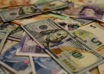 Serbest piyasada döviz açılış fiyatları