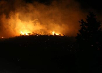 Son dakika: Bursa’daki orman yangını kontrol altına alındı