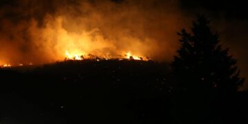 Son dakika: Bursa’daki orman yangını kontrol altına alındı