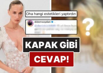 Son Halini Paylaşan Didem Soydan’dan Bir Kullanıcıdan Gelen Estetik Sorusuna Kapak Gibi Cevap!