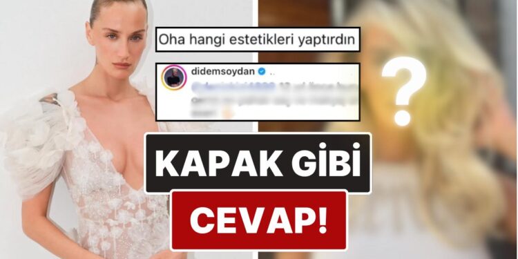 Son Halini Paylaşan Didem Soydan’dan Bir Kullanıcıdan Gelen Estetik Sorusuna Kapak Gibi Cevap!