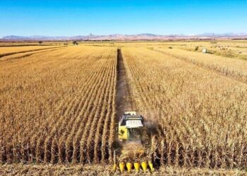 Tarım sigortaları kapsamında eylülde üreticilere 3,15 milyar lira hasar tazminatı ödendi