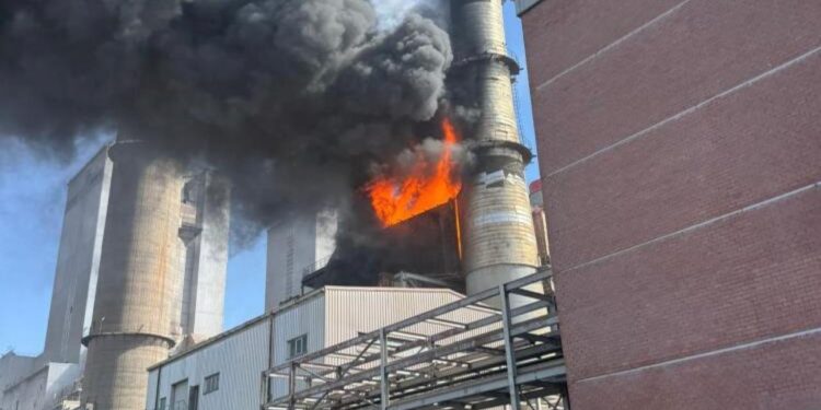 Termik santralde çıkan yangın kontrol altına alındı