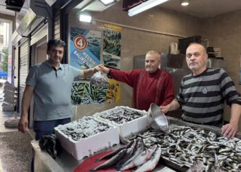 Trabzon’da balıkçı tezgahlarında istavrit ilgi görüyor!