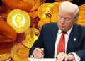 Trump İmzayı Attı Altın 3 Haftanın Zirvesinde