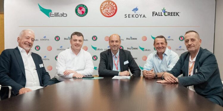 Türkiye yaban mersininde küresel oyuncu olma yolunda!